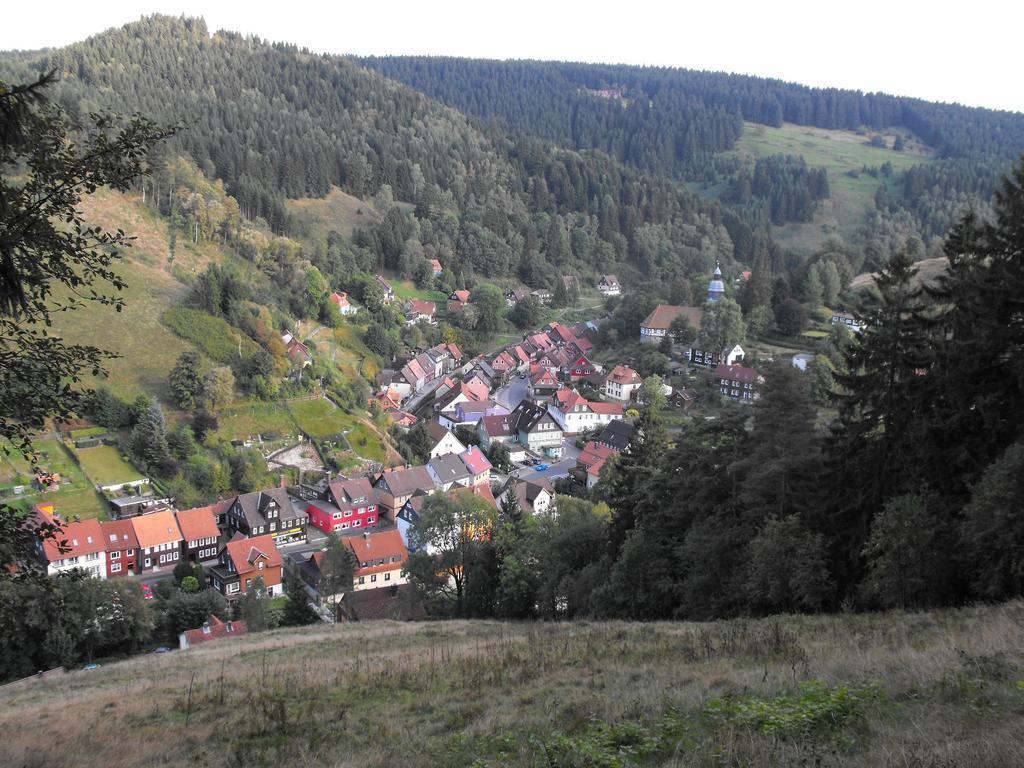 Ferienwohnung Sonnenhuegel Wildemann Extérieur photo