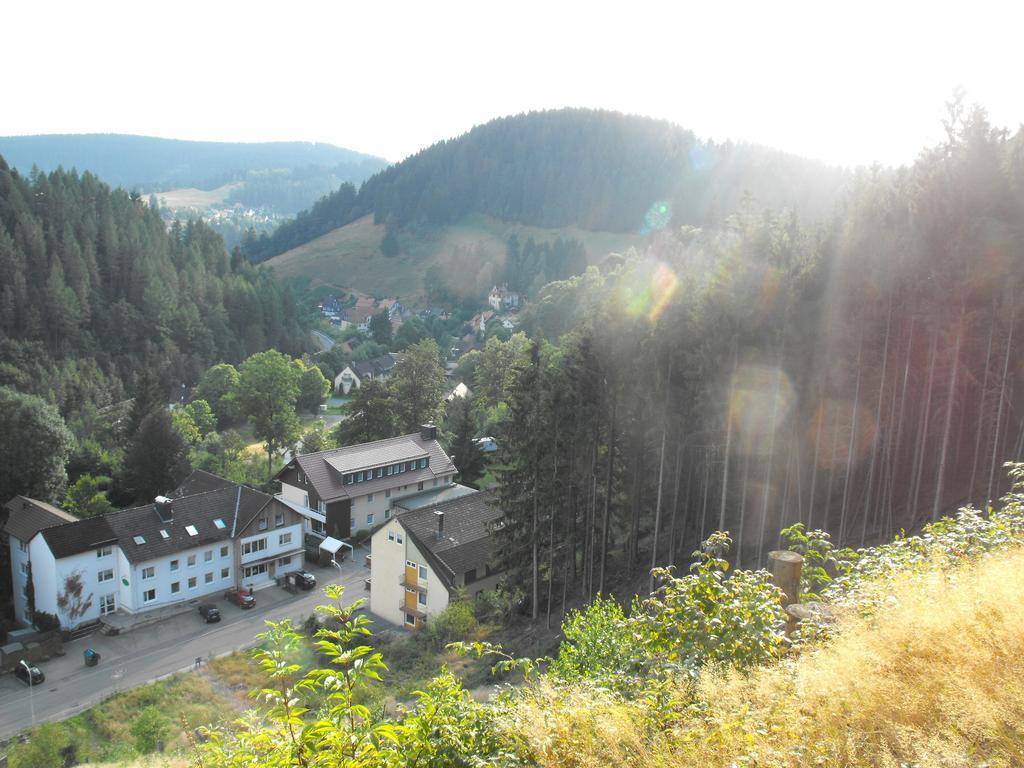 Ferienwohnung Sonnenhuegel Wildemann Extérieur photo
